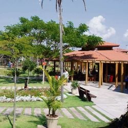 Parque Botânico Vale, em Jardim Camburi, terá programação gratuita de Natal