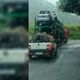 Imagem - Vídeo: caminhão-cegonha carregado de carros invade contramão na BR 262