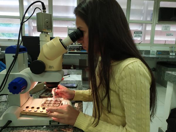 Thayna da Silva Raymundo intomóloga (especialista em insetos) e, atualmente, pesquisadora do Projeto de Borboletas da Ufes