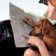 Imagem - Férias chegando: 10 dicas de como levar seu pet junto na viagem