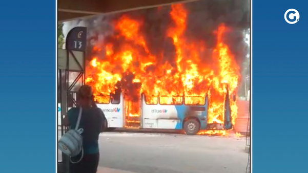 Ônibus do Transcol pega fogo em Carapina