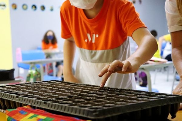 As diferenças entre as escolas estão, muitas vezes, na forma de direcionar o aluno no aprendizado
