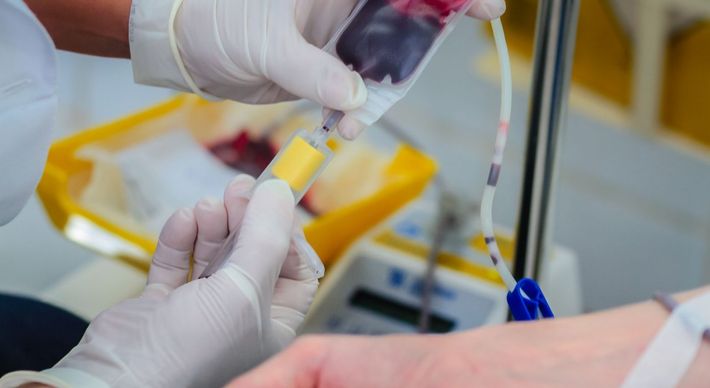 O diagnóstico precoce da doença é fundamental. Os pacientes com o tipo de talassemia grave necessitam de transfusões de sangue, geralmente a cada 20 dias