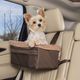 Imagem - 5 acessórios indispensáveis para levar seu pet na viagem de carro