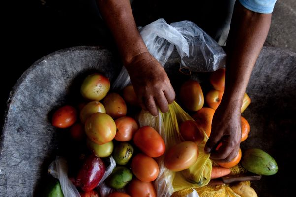 Alimentos doados na Ceasa por Fernando Madeira