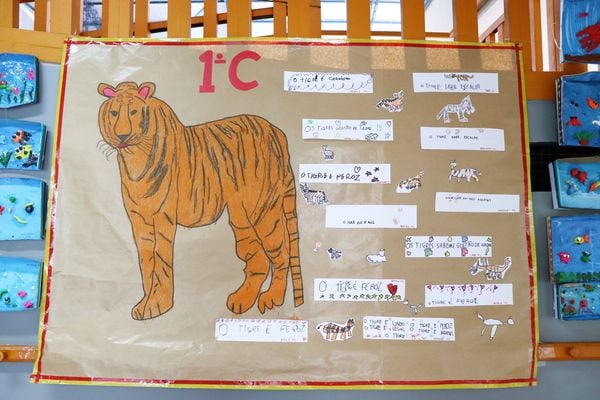 Feira Integrada da Escola Monteiro é realizada anualmente. Imagens de antes da pandemia. por Talita Vieira/Divulgação Monteiro