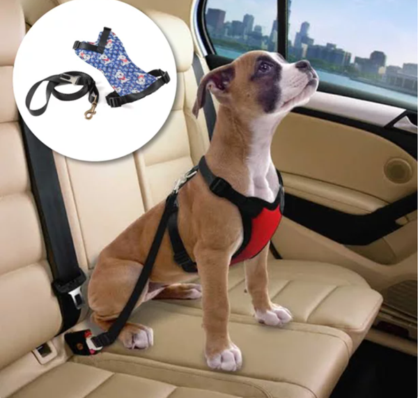 Os adaptadores de cinto de segurança também são uma boa dica nas viagens de carro com pets