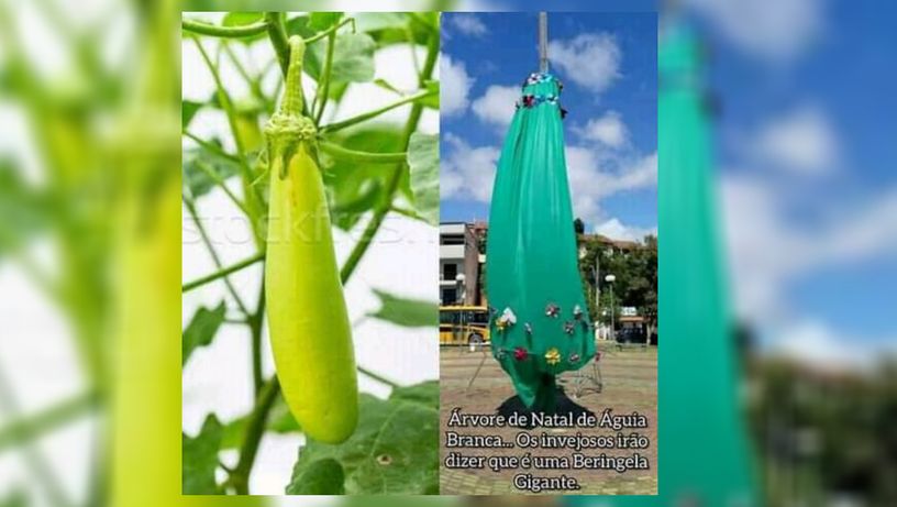 Berinjelão gigante? Babanão verde? Não. Árvore de Natal em Águia Branca, em 2019