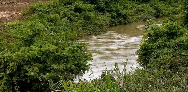 Criança de 4 anos é encontrada morta em rio de Pancas