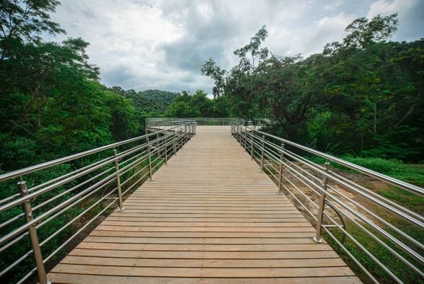 Parque da Fonte Grande: mirante Canto da Floresta