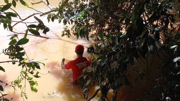 Nível e coloração do Rio Itabapoana dificultaram a localização de carro e motorista. por João Henrique Castro