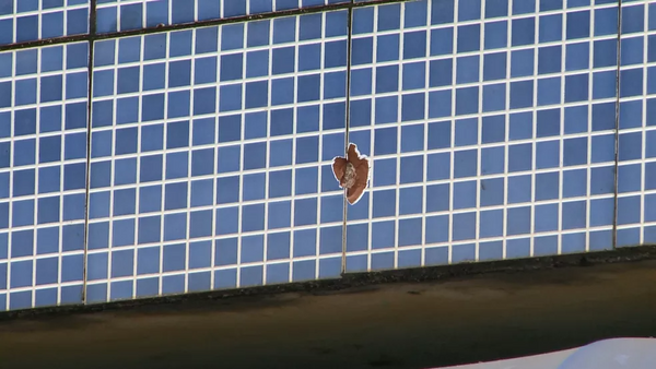 Mulher foi morta a tiros e imóveis próximos também foram atingidos por disparos em Flexal 2, Cariacica, ES — Foto: Reprodução/TV Gazeta