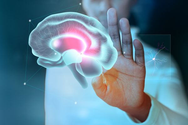Cérebro, neurologia, sistema nervoso, mente