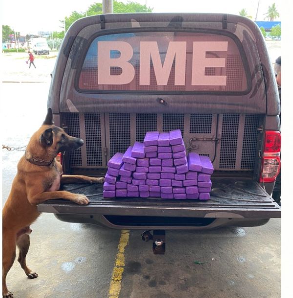 Operação Sentinela 2021 por Sesp