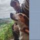 Imagem - Após ficar 17 dias preso em pedreira, cachorro é resgatado no Sul do ES