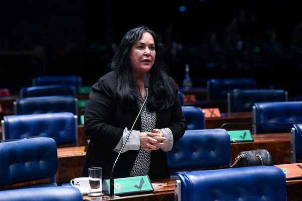 Senadora Rose de Freitas (MDB)