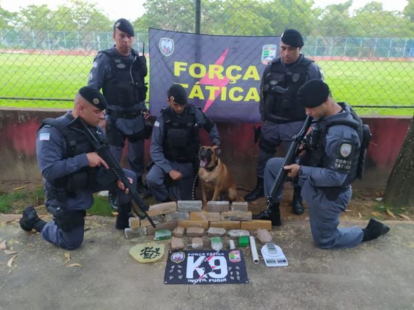 Polícia apreende 12 kg de maconha  em Anchieta