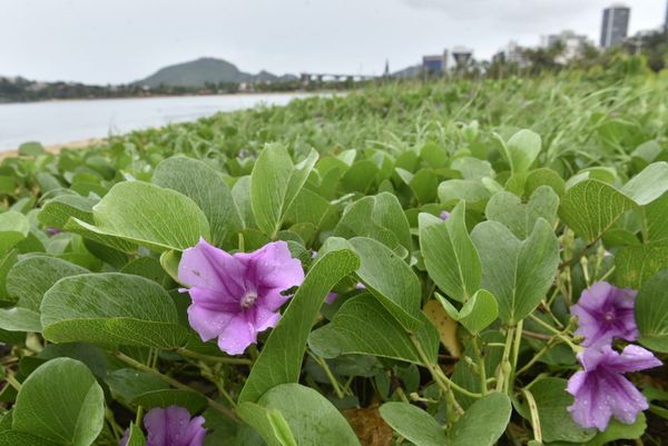 Tempo chuvoso na praia da Guarderia, em Vitória por Ricardo Medeiros