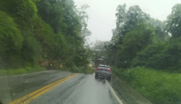 Queda de árvore interdita Km 116 da BR 262 no Sul do ES