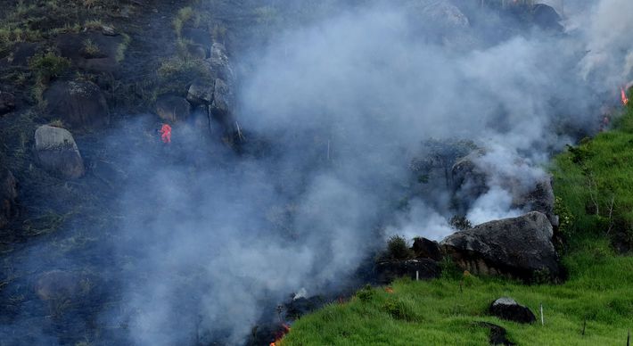 De acordo com apuração do fotojornalista Carlos Alberto Silva, que esteve no local, brigadistas estiveram no local em trabalho de combate ao fogo