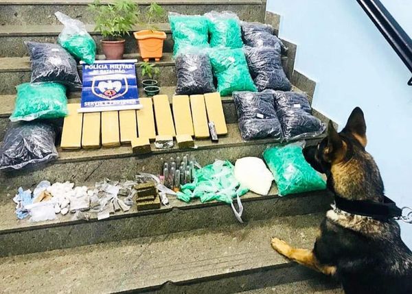 A PM prendeu mais de 230 pessoas e apreendeu mais de 600 kg de drogas em operações com cães no ES em 2021 por Divulgação/PMES