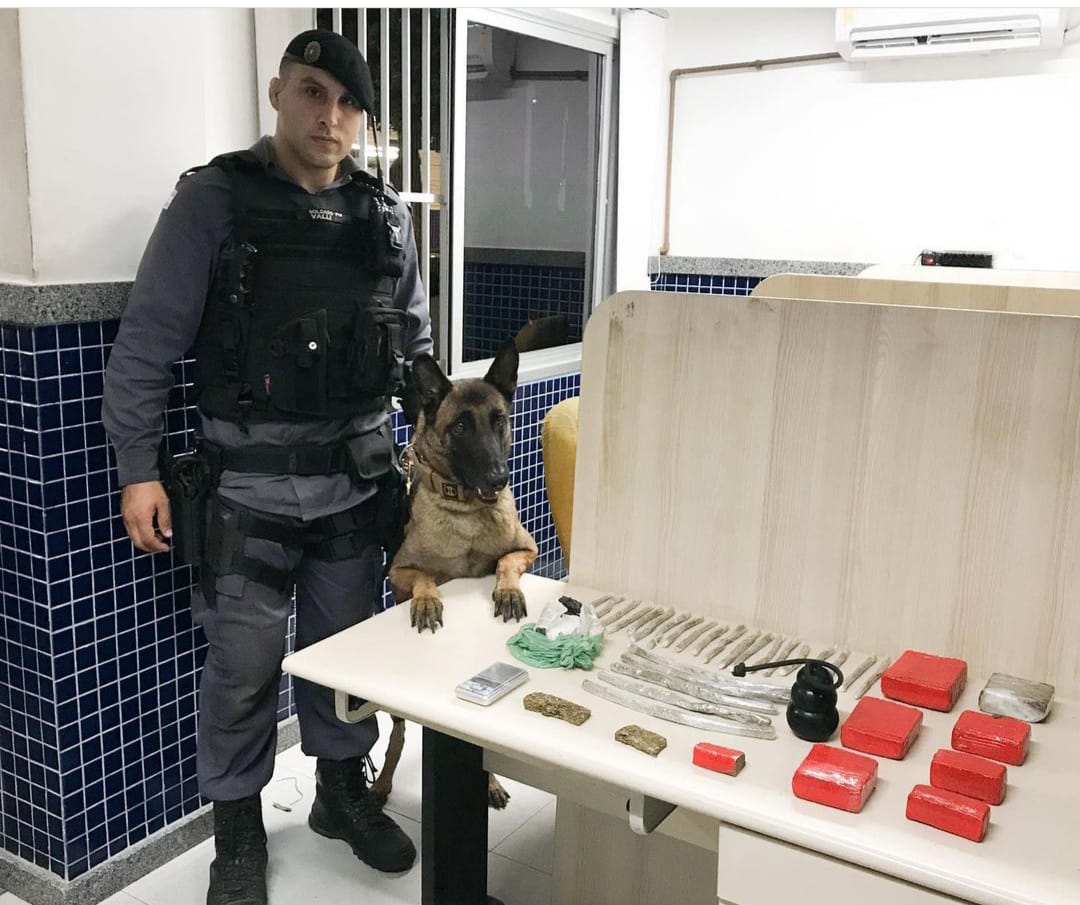 A PM prendeu mais de 230 pessoas e apreendeu mais de 600 kg de drogas em operações com cães no ES em 2021