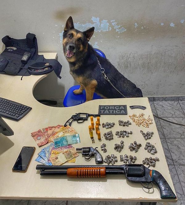 A PM prendeu mais de 230 pessoas e apreendeu mais de 600 kg de drogas em operações com cães no ES em 2021 por Divulgação/PMES