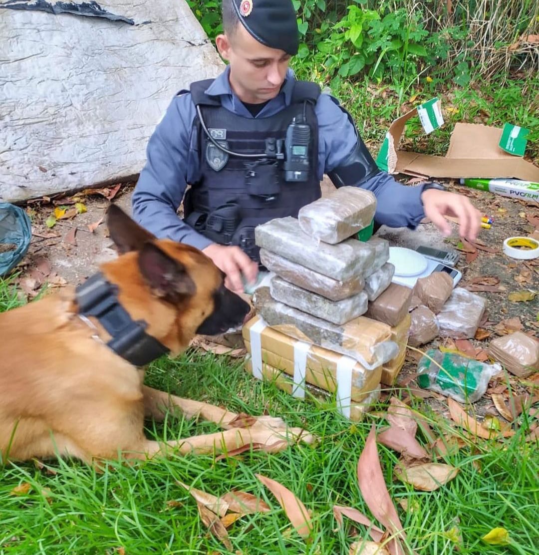 A PM prendeu mais de 230 pessoas e apreendeu mais de 600 kg de drogas em operações com cães no ES em 2021