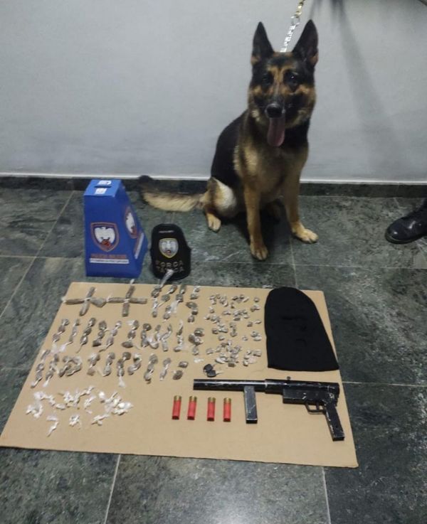 A PM prendeu mais de 230 pessoas e apreendeu mais de 600 kg de drogas em operações com cães no ES em 2021 por Divulgação/PMES