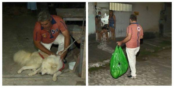 Comerciante só conseguiu salvar a cachorra e pegar uma sacola com roupas suas 