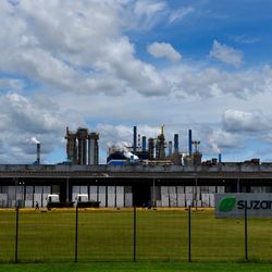 São 101 oportunidades distribuídas pelos seguintes estados: Espírito Santo, Bahia, Maranhão, São Paulo, Pará, Ceará e Mato Grosso do Sul