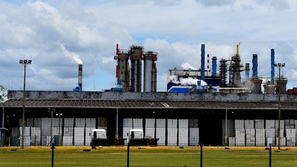 São mais de 100 vagas abertas para atuar nos estados de São Paulo, Maranhão, Mato Grosso do Sul, Pará, Bahia, Espírito Santo e Ceará; inscrições podem ser feitas até 27 de novembro