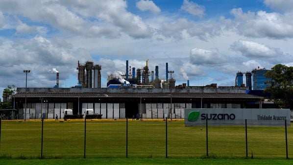 São 101 oportunidades distribuídas pelos seguintes estados: Espírito Santo, Bahia, Maranhão, São Paulo, Pará, Ceará e Mato Grosso do Sul