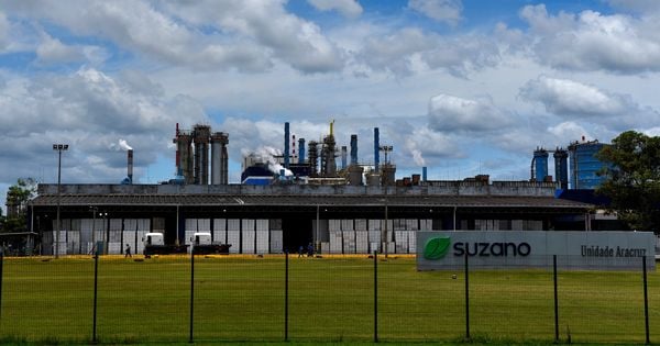 Suzano Anuncia Investimento De R 600 Milhões Em Aracruz A Gazeta 9909