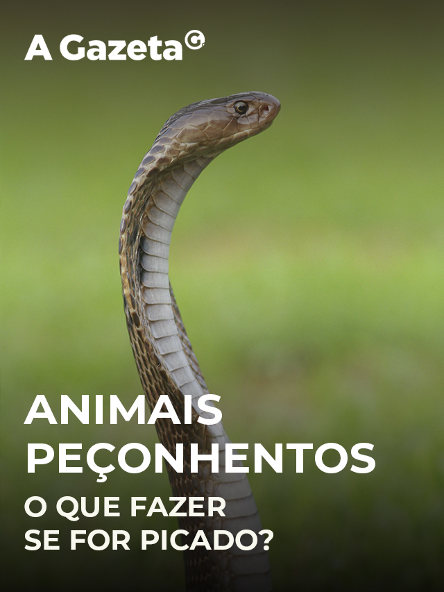 Cobra com a sua língua cortada - desenho