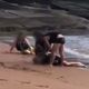 Imagem - Vídeo de briga no mar mostra agressão a jovem em praia de Guarapari