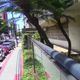 Imagem - Vídeo: ladrão rouba carro e quase leva idoso junto em Vila Velha
