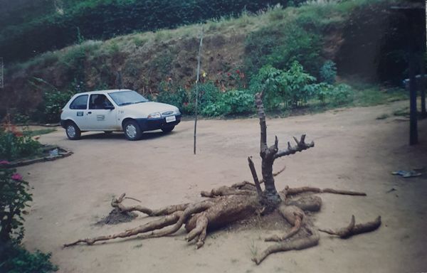 Em 2003, um pé de mandioca de 103 kg foi retirado do sítio, em Vargem Alta por Arquivo pessoal