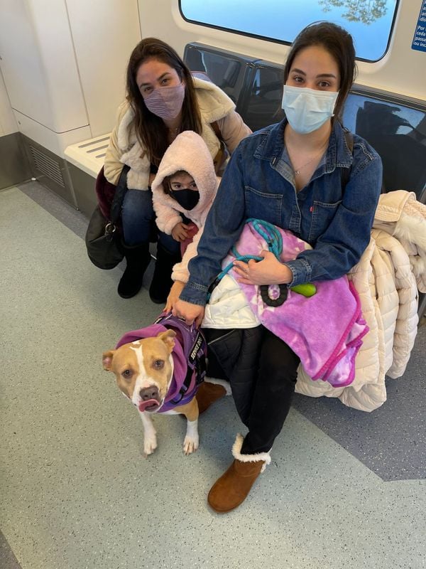 Catarina Ferlin Farah com a família viajando da Flórida para Nova York levando a cachorra Íris dentro da cabine do avião 