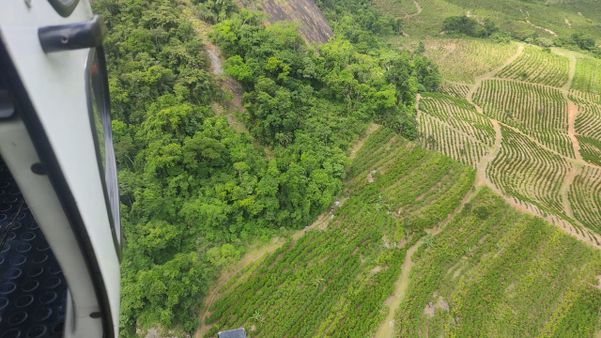 Mulher fica presa em árvore após saltar de wingsuit em Castelo por Divulgação \ Notaer