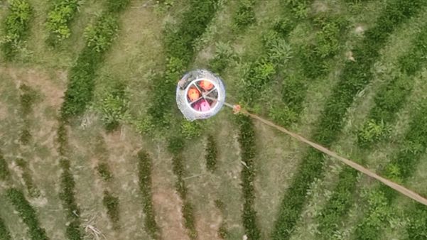 Mulher fica presa em árvore após saltar de wingsuit em Castelo por Divulgação \ Notaer