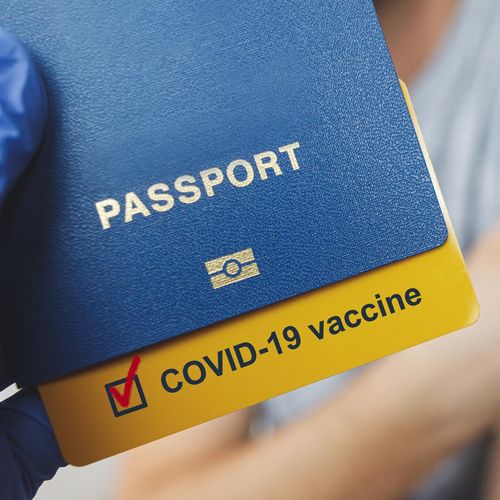 Como vai funcionar a exigência do passaporte da vacina em bares e restaurantes do ES