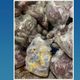 Imagem - Mais de 800 kg de carne destinados a merenda escolar estragam em Guaçuí