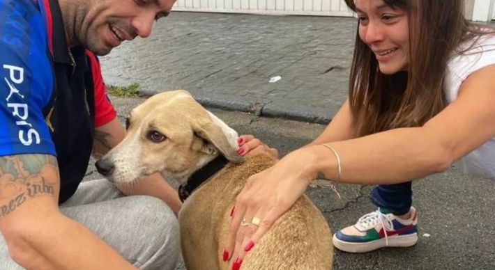 Ela havia sumido no aeroporto de Guarulhos durante uma conexão. Pandora estava dentro da área do próprio aeroporto e foi encontrada por um funcionário