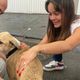 Momento em que o garçom Reinaldo Bezerra reencontra a cachorra Pandora, que sumiu em dezembro no aeroporto de Guarulhos