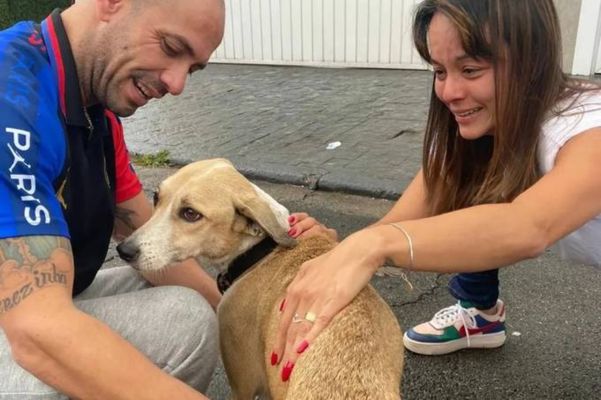 Momento em que o garçom Reinaldo Bezerra reencontra a cachorra Pandora, que sumiu em dezembro no aeroporto de Guarulhos