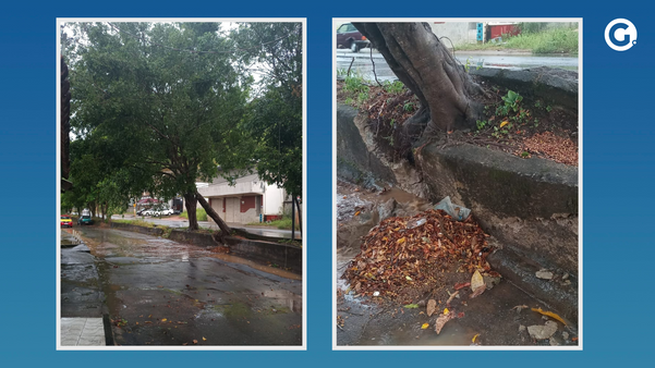 Chuva alaga ruas e derruba árvore em Cachoeiro de Itapemirim