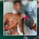 Imagem - Casal mantém versão de que sofreu ataque em praia de Guarapari, diz defesa