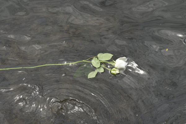 Homenagens à Iemanjá em Vitória, ES  por Ricardo Medeiros