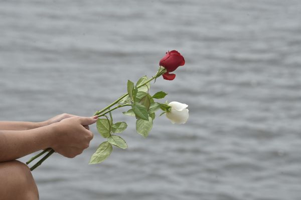 Homenagens à Iemanjá em Vitória, ES  por Ricardo Medeiros